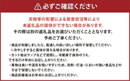 金色羅皇 2玉入り 3L以上 約16kg 【2026年5月上旬～2026年6月下旬発送予定】スイカ 甘いフルーツ 名産果物  果物 熊本県 