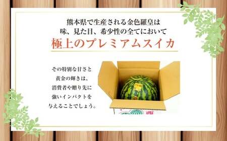 金色羅皇 2玉入り 3L以上 約16kg 【2026年5月上旬～2026年6月下旬発送予定】スイカ 甘いフルーツ 名産果物  果物 熊本県 