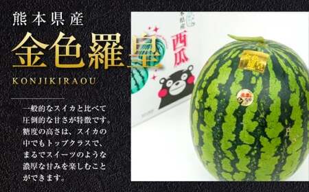 金色羅皇 2玉入り 3L以上 約16kg 【2026年5月上旬～2026年6月下旬発送予定】スイカ 甘いフルーツ 名産果物  果物 熊本県 