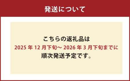 【大皿】天草とらふぐ刺身セット 焼ヒレ付き 【2025年12月下旬発送開始】とらふぐ フグ 刺し身 お魚 贈答品 ギフト 熊本県 