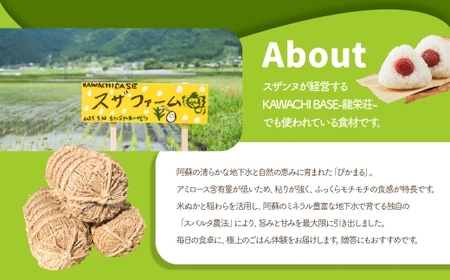スザファーム産 スザンヌが心をこめてお届けする 【令和7年度産米】 阿蘇のぴかまる 5kg 【2025年10月上旬発送開始】 お米 米 コメ 阿蘇 ぴかまる ご飯 ごはん 国産 熊本県産