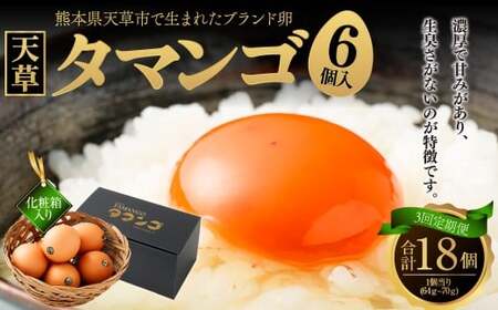 熊本県天草市で生まれたブランド卵「天草タマンゴ」6個入 ／ 化粧箱×3回 計18個 化粧箱入 【3ヶ月連続定期便】 卵 たまご タマゴ 生卵 生たまご 卵黄 卵 定期便 3回 熊本県 天草市 