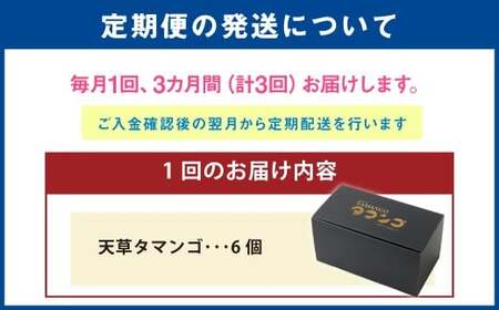 熊本県天草市で生まれたブランド卵「天草タマンゴ」6個入 ／ 化粧箱×3回 計18個 化粧箱入 【3ヶ月連続定期便】 卵 たまご タマゴ 生卵 生たまご 卵黄 卵 定期便 3回 熊本県 天草市 