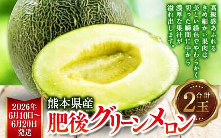 熊本県産 肥後グリーンメロン 2玉  メロン くだもの 果物 フルーツ 【2026年6月上旬より発送開始】