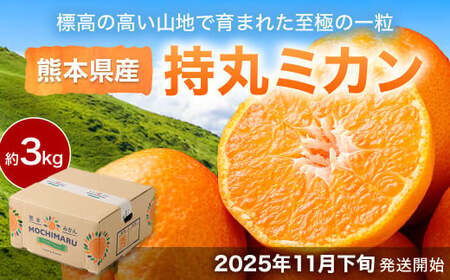 熊本県産 持丸ミカン 約3キロ 【2026年11月下旬発送開始】 蜜柑 みかん ミカン 柑橘 フルーツ くだもの 果物 国産