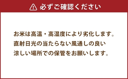【 令和7年度産 】 熊本県産塩栽培米くまさんの輝き 5kg 国産 熊本県産 お米 米 コメ ご飯 白米 くまさんの輝き 塩栽培米 塩栽培 【 2025年12月上旬発送開始 】