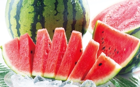 熊本県産 大玉春すいか 1玉 熊本県 果物 くだもの フルーツ 熊本県産 国産 スイカ 西瓜 春スイカ 春すいか 春 【 2026年4月上旬発送開始 】