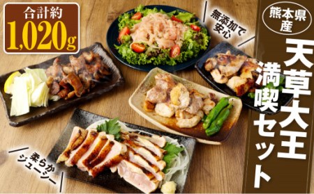 天草大王 満喫セット6種 計 約1kg（モモタタキ ムネタタキ 鶏生ハム 炭火焼 塩麹漬け 甘み味噌麹） 鶏肉 お肉 もも肉 胸肉 生ハム おつまみ 惣菜