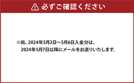 熊本県内の旅行に使える】JTBふるぽWEB旅行クーポン（30,000円分