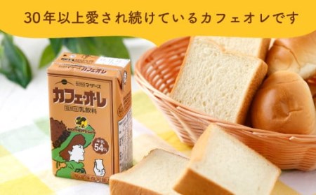 カフェオレ 250ml×24本 1ケース コーヒー牛乳 紙パック 常温保存可能