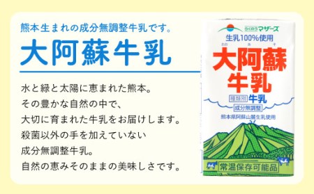 大阿蘇牛乳 250ml×24本 1ケース 紙パック 常温保存可能