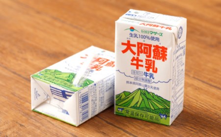 大阿蘇牛乳 250ml×24本 1ケース 紙パック 常温保存可能