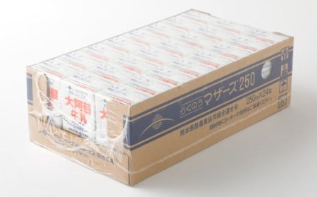 大阿蘇牛乳 250ml×24本 1ケース 紙パック 常温保存可能