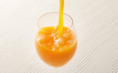 ジューシープレミアム 熊本みかん ストレート 100％ 200ｍl×24本 合計4800ml 紙パック ケース