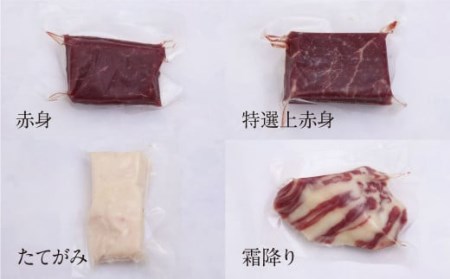 【3か月定期便】熊本馬刺し 豪華4種盛りセット 馬刺し醤油2本つき 赤身 上赤身 霜降り たてがみ