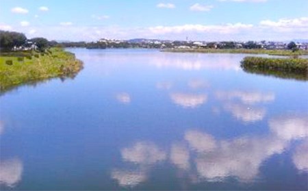 【定期便3回】い・ろ・は・す(いろはす)阿蘇の天然水 540ml 24本×2ケース 計48本×3回 水 みず ミネラルウォーター 天然水 ペットボトル 飲料水 飲料