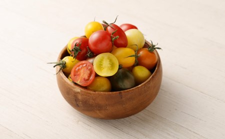 カラフルミニトマト 1.5kg トマト ミニトマト