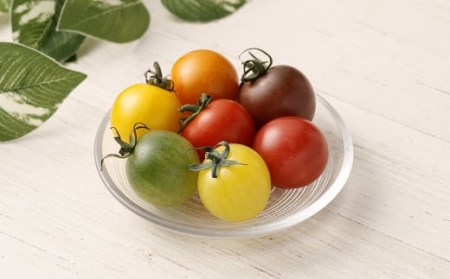 7色カラフルミニトマト 7粒×4箱 28粒 トマト ミニトマト