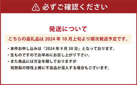 2024年10月上旬発送開始】特産荒尾ジャンボ梨2個 約2kg 果物 フルーツ