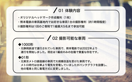 世界に1つだけのオリジナルヘッドマーク作成権利付！