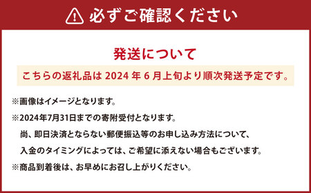 【2024年6月上旬発送開始】熊本県産 黒小玉スイカ1玉とマスクメロン1玉
