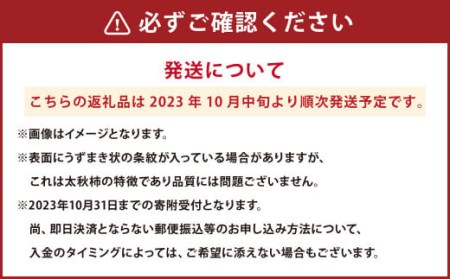 2023年10月発送開始】熊本県産 太秋柿 2kg | 熊本県（県庁