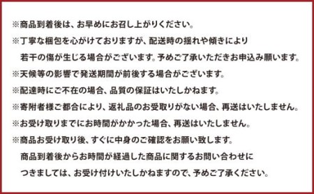 2023年10月発送開始】熊本県産 太秋柿 2kg | 熊本県（県庁