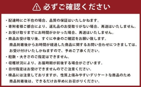 2024年2月発送開始】熊本県産 不知火柑 約4.5kg しらぬい 果物 柑橘類