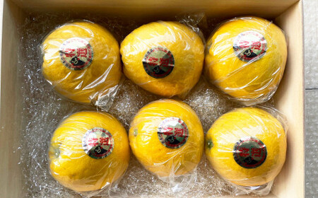 【2024年4月上旬発送開始】くまモン 木箱入り 河内晩柑 6玉 柑橘 果物 ばんかん