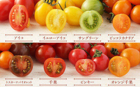 【2024年2月上旬発送開始】熊本の トマト 三昧(ミニ2kg＋桃太郎トマト14個) とまと ミニトマト