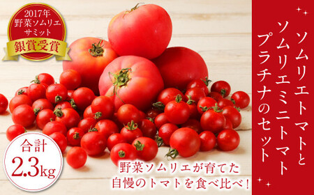 【2024年2月上旬発送開始】【 食べ比べ 】ソムリエ トマト 1.3kg と ソムリエ ミニトマト プラチナ 1kg の セット 合計2.3kg 2種 とまと