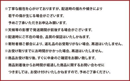 【3か月連続定期便】熊本便り！旬のフルーツ詰め合わせ定期便