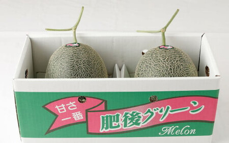 2024年5月下旬発送開始】熊本県産 肥後グリーンメロン 2玉入り 果物