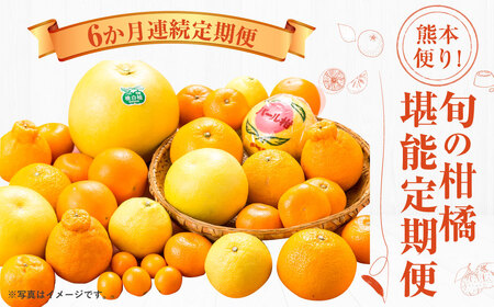 【2025年1月より6か月連続発送】熊本便り！旬の柑橘堪能定期便