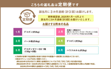 【2025年1月～4月より3か月連続発送】熊本便り！ 旬の柑橘堪能定期便