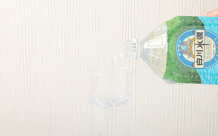 【6か月連続定期便】日本名水百選ミネラルウォーター「南阿蘇・白川水源」2L×6本入り2ケース×6か月