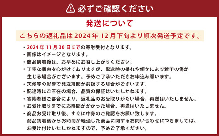 熊本県産 ポンカン 約2.2kg【2024年12月下旬発送開始】