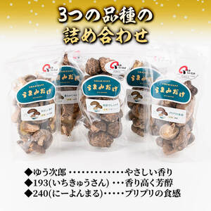 乾しいたけ 「うまみだけ」 (計400g・80g×5袋) きのこ 椎茸 大分県産 【opst002】【大分県椎茸農業協同組合】