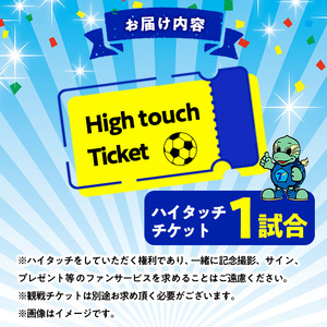 選手とピッチレベルでハイタッチ！ 松本怜CROプロデュース(1試合) 大分トリニータ Jリーグ サッカー trinita 【opfc002】【大分フットボールクラブ】
