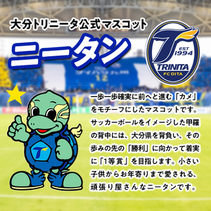大分トリニータ公式マスコットぬいぐるみ 圧倒的ニータン(1個) 大分トリニータ Jリーグ サッカー キャラクター グッズ trinita 【opfc007】【大分フットボールクラブ】