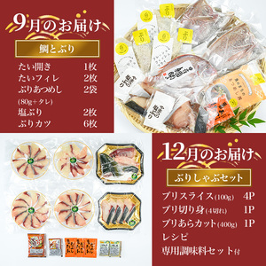 ＜定期便・全5回＞職人直送 干物 定期便 (該当月お届け) 定期便 簡単 調理 干物 たい あじ かます さば ぶり いさき いとより ぶりかま あつめし ぶりカツ ぶりしゃぶ 開き 魚 海鮮 冷凍 詰め合わせ セット 【opad004】【鶴見食賓館】