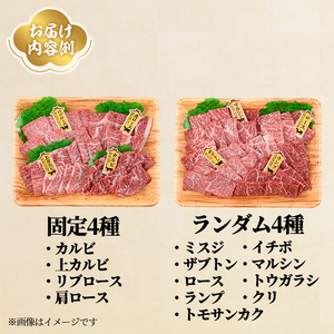 ＜訳あり＞おおいた和牛 希少部位 焼肉セット(8種) 国産 牛肉 肉 和牛 焼肉 カルビ 上カルビ リブロース 肩ロース BBQ バーベキュー セット 食べ比べ 【opae005】【ミートクレスト】