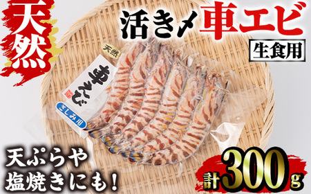 天然 活き〆車エビ 生食用 (300g) エビ 海老 車海老 車エビ 冷凍 刺身 さしみ 天ぷら 塩焼 バーベキュー 国産 大分県産 大分県 鶴見食賓館 【opad007】【鶴見食賓館】