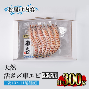 天然 活き〆車エビ 生食用 (300g)  エビ 海老 車海老 車エビ 冷凍 刺身 さしみ 天ぷら 塩焼 バーベキュー 国産 大分県産 大分県 鶴見食賓館 【opad007】【鶴見食賓館】
