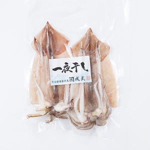 ＜訳あり＞ いかの一夜干し (10尾) 魚介 いか イカ 烏賊 一夜干し 冷凍 おつまみ つまみ スルメイカ するめいか するめ 国産 小分け 【opar003】【磯武】