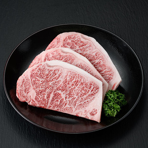 おおいた和牛 サーロインステーキ (計600g) サーロイン ステーキ 和牛 牛肉 国産 肉 冷凍  【opay010】【まるひで】