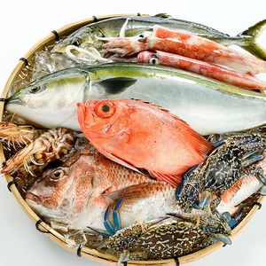 <定期便> 魚介類定期便 (全12回 ・連続) 魚 魚介 海鮮 いか イカ たこ タコ 貝 海老 えび エビ 冷蔵 【opba001】【海べ】