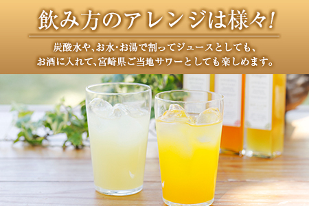 ◆宮崎ハンドメイド　日向夏シロップ×3本セット(合計600ml)