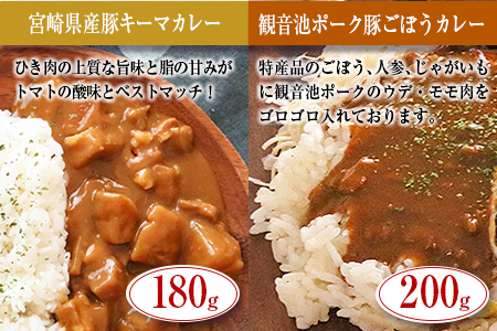 ◆宮崎ご当地カレー＆シチュー食べ比べセット(合計1.27kg)