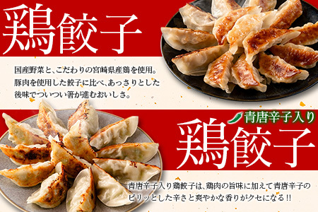 宮崎鶏ぎょうざ「まる金」の点心3種 詰め合わせセット 餃子のたれ付き